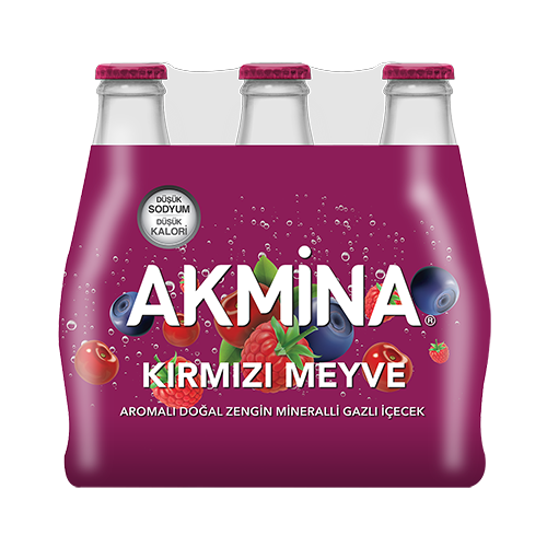 Akmina Kırmızı Meyve Aromalı Maden Suyu (6 x 200 ml)