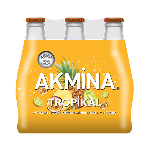 Akmina Tropikal Aromalı Maden Suyu (6 x 200 ml)