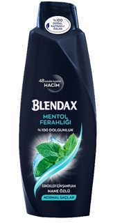 BLENDAX 600 ML ŞAMP.ERKEK MENTOLLU