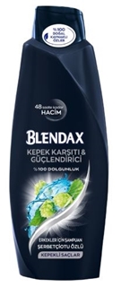 Blendax Erkekler İçin Kepeğe Karşı Etkili 550 Ml