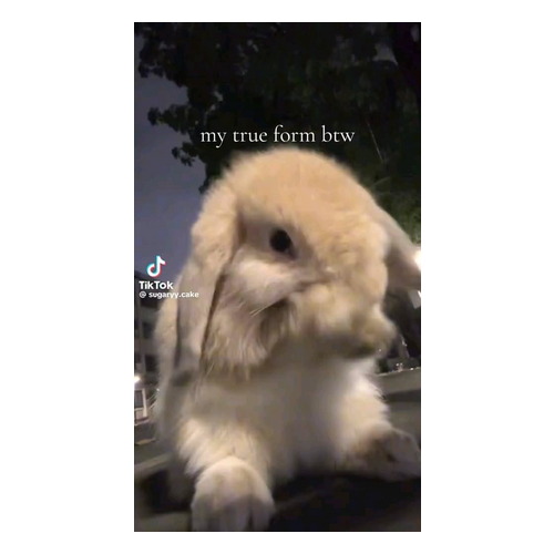 BUNN REPA GEV