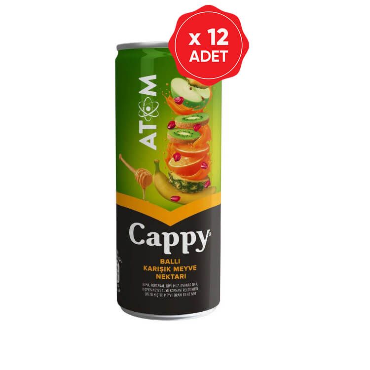 Cappy Atom Kutu 250 Ml x 12 Adet