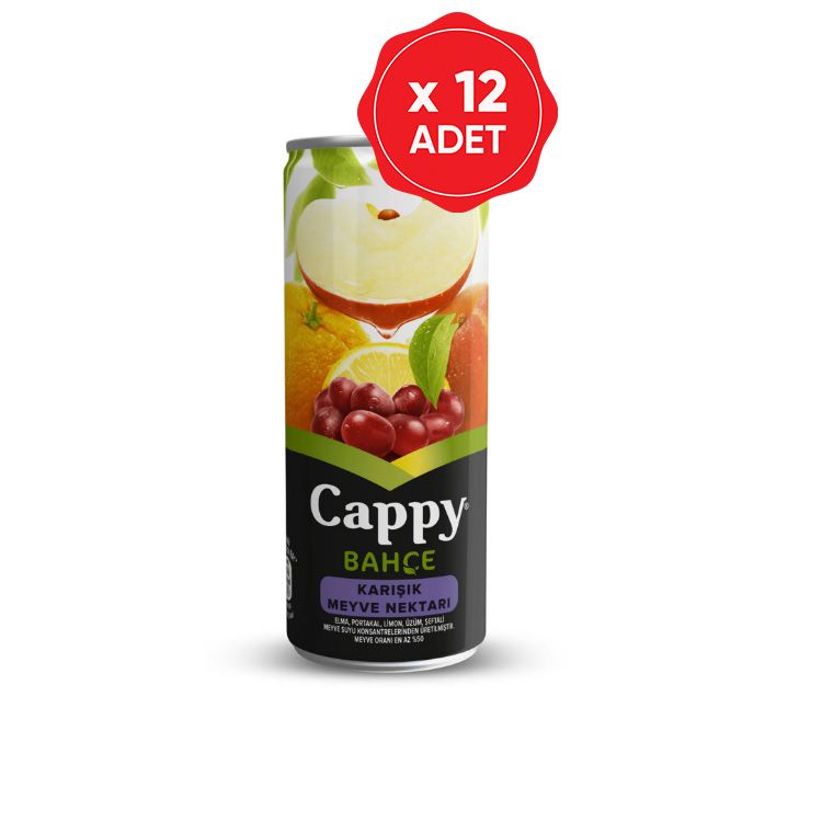 Cappy Karışık Kutu 250 Ml x 12 Adet