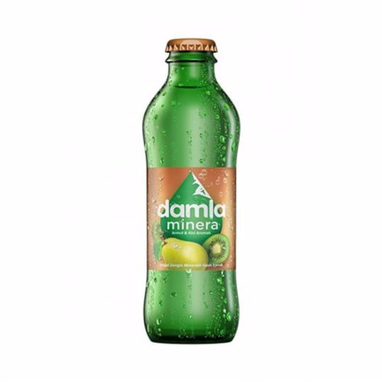 DAMLA AROMALI MADEN SU 200 ML - ARMUT&KİVİ
