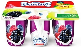 Danone Danino Orman Meyveli 6x45 gr