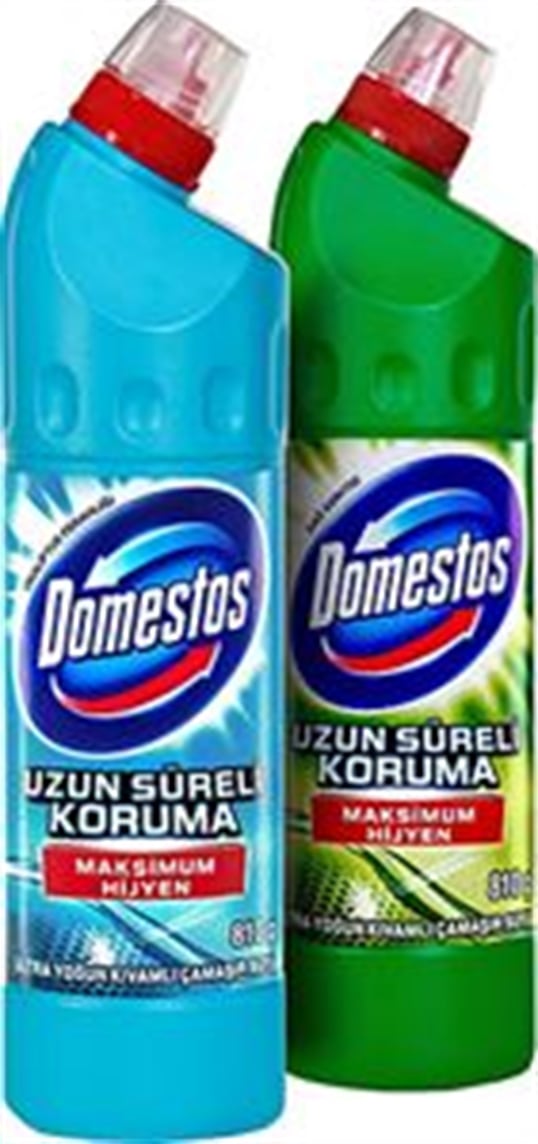 Domestos 810 Gr Dağ Esintisi + Okaliptus