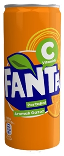 Fanta Portakal Aromalı Gazoz 250 Ml