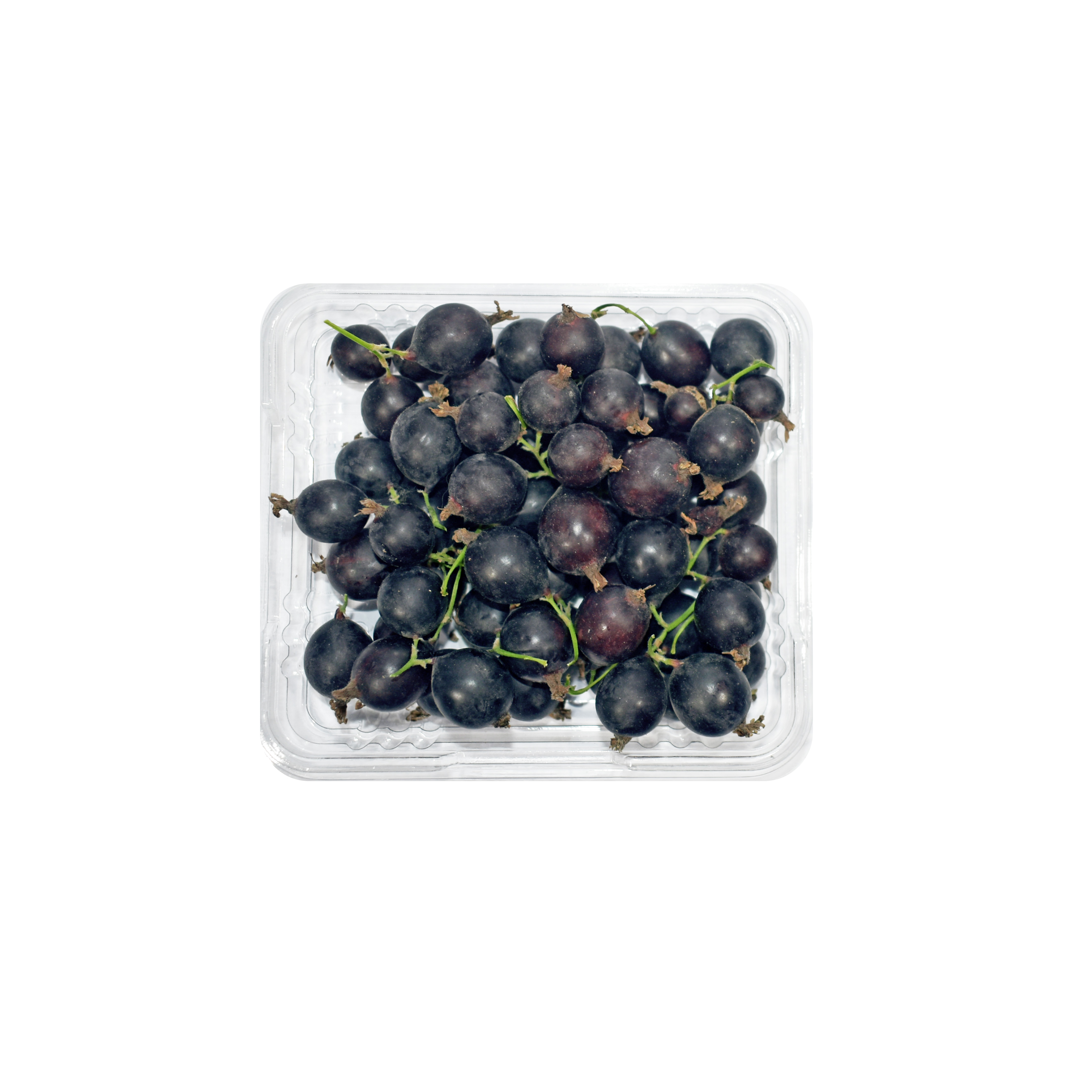 Frenk Üzümü Siyah (125 g)