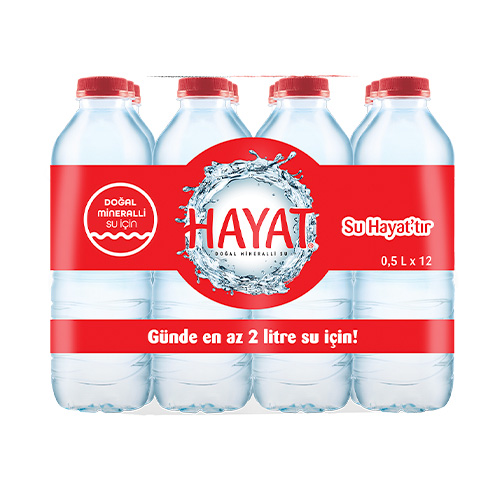 Hayat Su (12 x 500 ml)