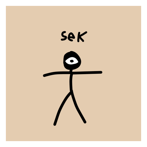 SEK SÜT 1 LİTRE AZ YAĞLI