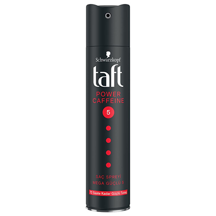 Taft Spray Power 250 ml