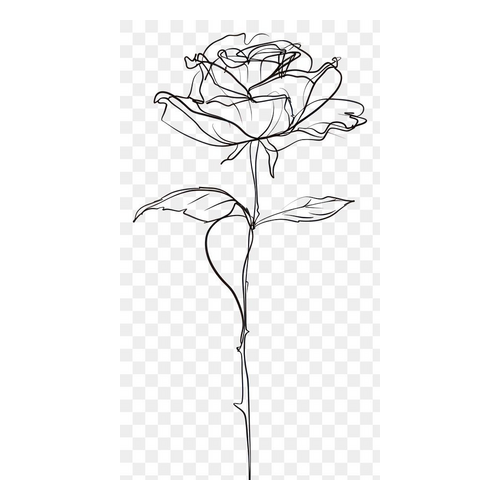 Vecteezy Outline Handdrawn Rose Flower Stem Leaf Thorn Plant Botanical Garden Icon